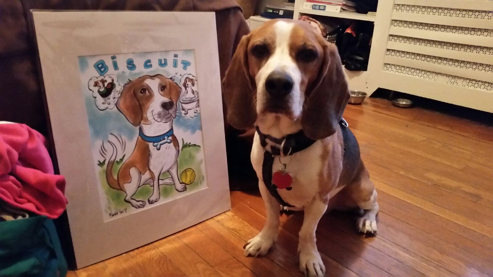 Biscuit.jpg
